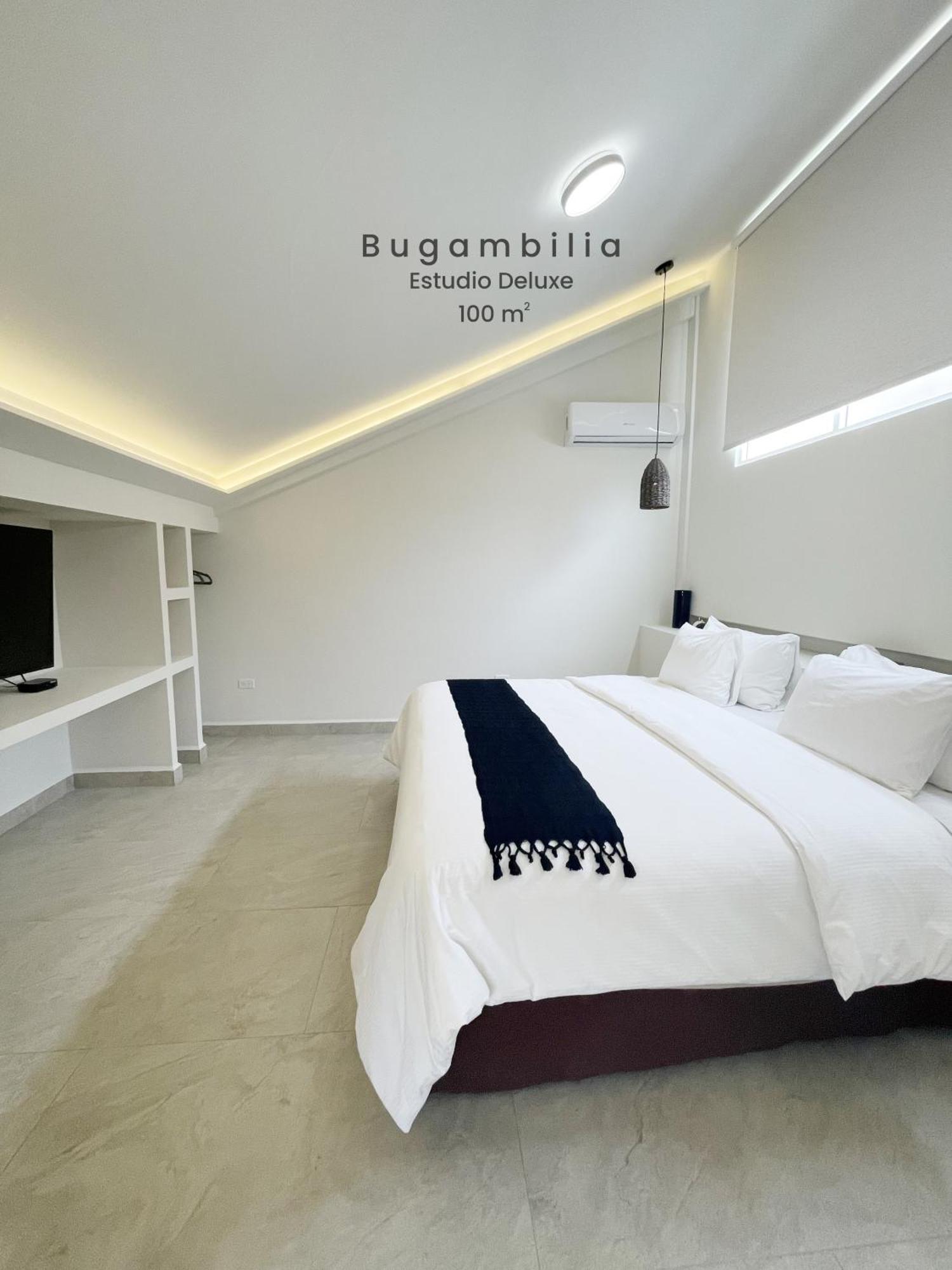 Marisol Hotel Boutique San José del Cabo Eksteriør bilde